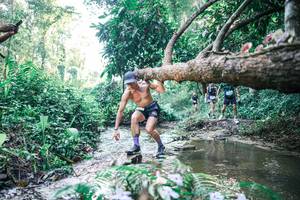 BIB: 
                            <button type="button" onclick="openModal(25432612)" class="btn btn-primary btn-sm float-right btn-popup" data-toggle="modal" data-target=".modal-high-quality">
                        <i class="fas fa-shopping-cart"></i> Add to Cart
                    </button>
                                            <button type="button" onclick="isThisMe(25432612, true)" class="btn btn-success btn-sm float-right btn-popup btn-isme hidden" data-toggle="tooltip" data-placement="bottom" title="นี่คือรูปของคุณใช่ไหม คลิกที่นี่เพื่อเอาเข้าอัลบั้ม">
                        <i class="fas fa-plus"></i> Add to album
                    </button>
                    <button type="button" onclick="isThisMe(25432612, false)" class="btn btn-warning btn-sm float-right btn-popup btn-isnotme hidden">
                        <i class="fas fa-ban"></i> Remove from album
                    </button>